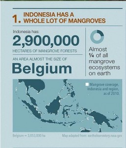 From CIFOR (Centre for International Forestry research)